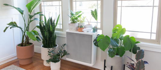 The coolest job in the world: Why Vince Romanin co-founded an HVAC company